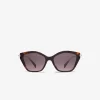 Catskills Sunglasses